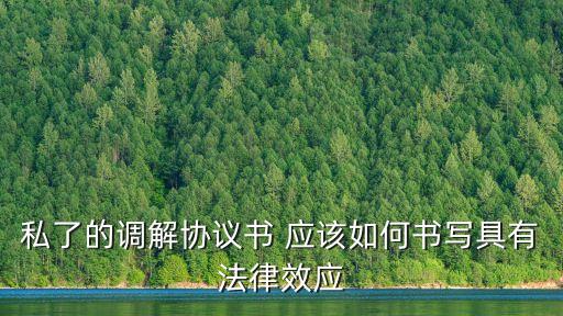 民事糾紛私了協(xié)議書(shū)怎么寫(xiě)才有效，私了的調(diào)解協(xié)議書(shū) 應(yīng)該如何書(shū)寫(xiě)具有法律效應(yīng)