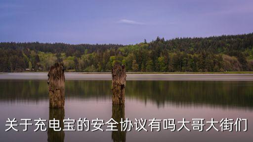 關(guān)于充電寶的安全協(xié)議有嗎大哥大街們