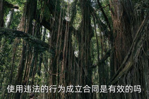 使用違法的行為成立合同是有效的嗎