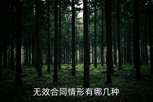 無效合同情形有哪幾種