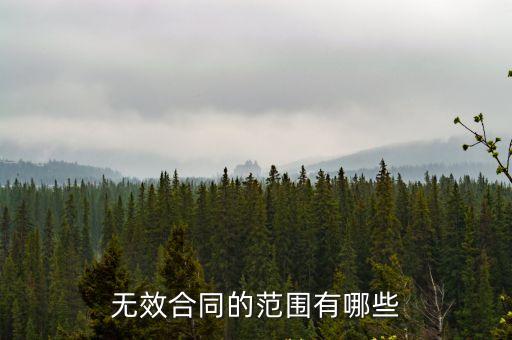 無效合同的范圍有哪些