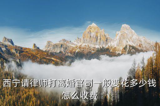 西寧請律師多少錢，西寧咨詢律師要多少錢