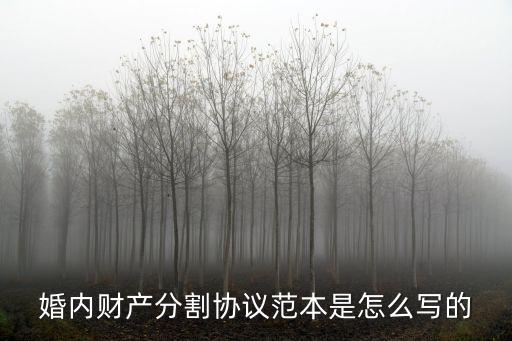 婚內(nèi)財(cái)產(chǎn)分割協(xié)議范本是怎么寫的