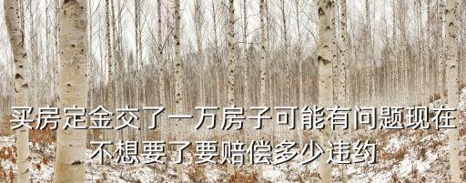 買(mǎi)房定金1萬(wàn)違約賠幾萬(wàn)，買(mǎi)房定金交了一萬(wàn)房子可能有問(wèn)題現(xiàn)在不想要了要賠償多少違約