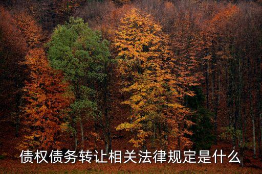 債務(wù)轉(zhuǎn)讓的法律規(guī)定，債務(wù)轉(zhuǎn)讓是怎樣規(guī)定的