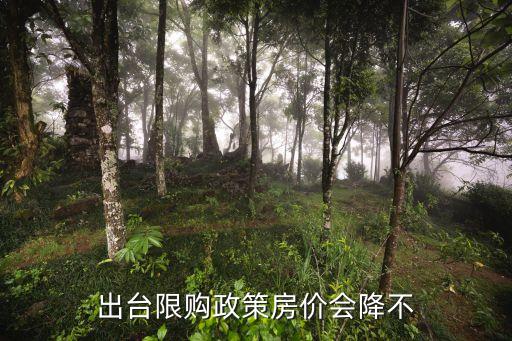 出臺限購政策房價會降不