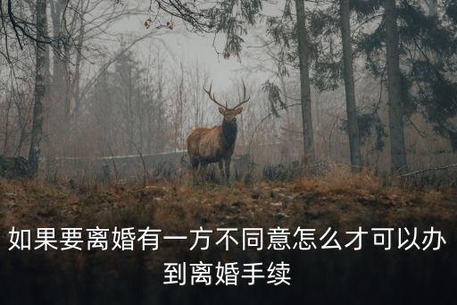 有一方不同意離婚應(yīng)該怎么辦手續(xù)，如果要離婚有一方不同意怎么才可以辦到離婚手續(xù)