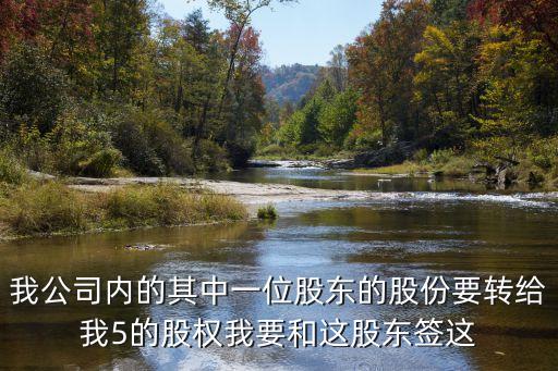 股權占比協(xié)議書范文，4個股東每股占25怎么寫股東配股協(xié)議書