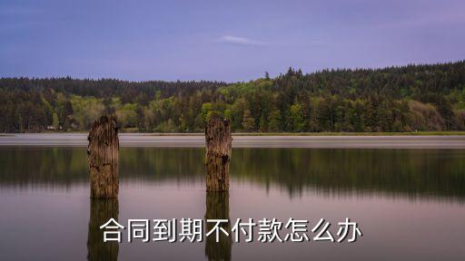 合同到期不付款怎么辦
