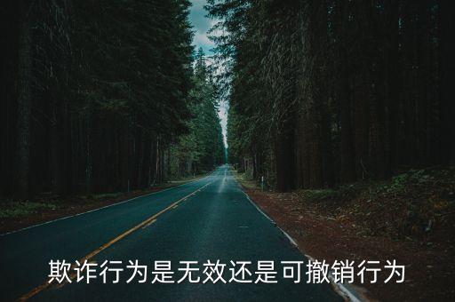 欺詐行為是無效還是可撤銷行為