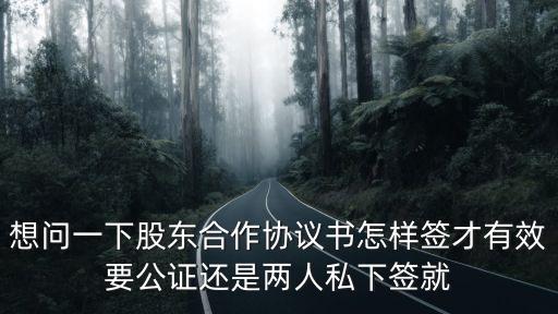 想問一下股東合作協(xié)議書怎樣簽才有效要公證還是兩人私下簽就