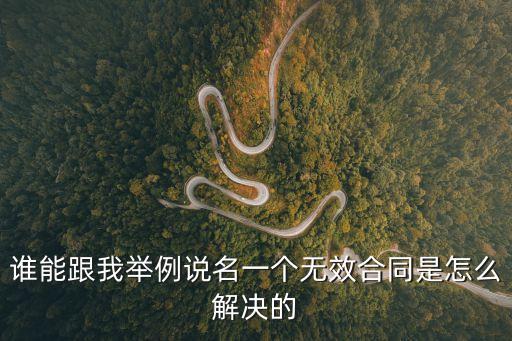 誰能跟我舉例說名一個無效合同是怎么解決的
