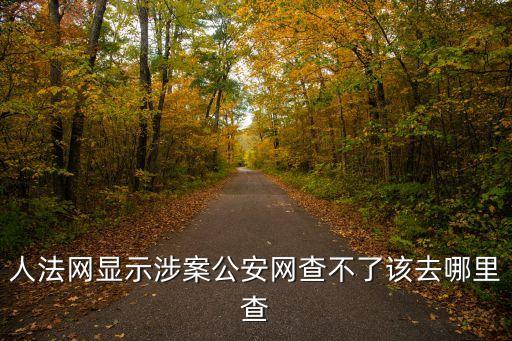 人法網(wǎng)顯示涉案公安網(wǎng)查不了該去哪里查
