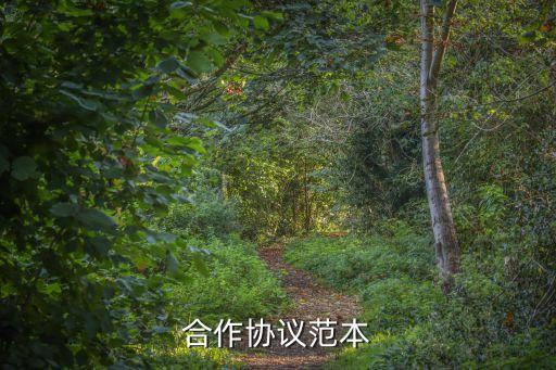 充電寶合作協(xié)議書(shū)合同，關(guān)于充電寶的安全協(xié)議有嗎大哥大街們