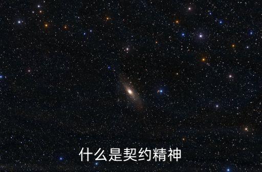 什么是契約精神