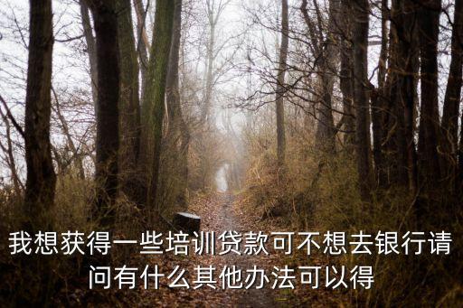我想獲得一些培訓(xùn)貸款可不想去銀行請問有什么其他辦法可以得