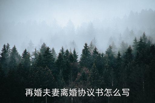 再婚離婚協(xié)議書 模板 標(biāo)準(zhǔn)版，再婚夫妻離婚協(xié)議書怎么寫