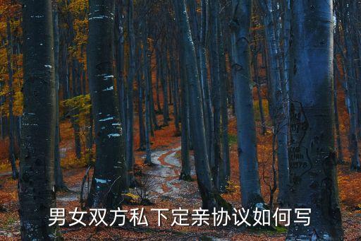 男女雙方私下定親協(xié)議如何寫