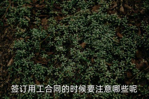 入職簽合同注意，簽訂用工合同的時(shí)候要注意哪些呢