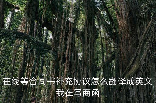在線等合同書補(bǔ)充協(xié)議怎么翻譯成英文我在寫商函