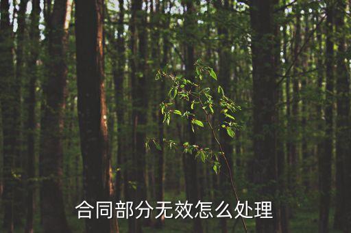合同部分無效怎么處理