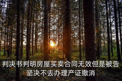 判決書判明房屋買賣合同無(wú)效但是被告堅(jiān)決不去辦理產(chǎn)證撤消