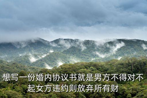 最有效的婚內(nèi)協(xié)議書模板，請給個有效的婚內(nèi)財產(chǎn)分配協(xié)議模板