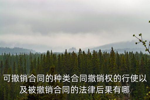 可撤銷(xiāo)合同承擔(dān)什么責(zé)任，合同撤銷(xiāo)的法律后果是什么