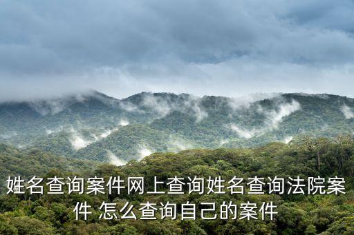 姓名查詢案件網(wǎng)上查詢姓名查詢法院案件 怎么查詢自己的案件