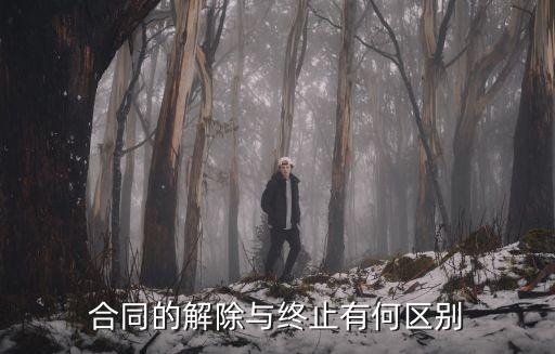 合同的解除與終止有何區(qū)別