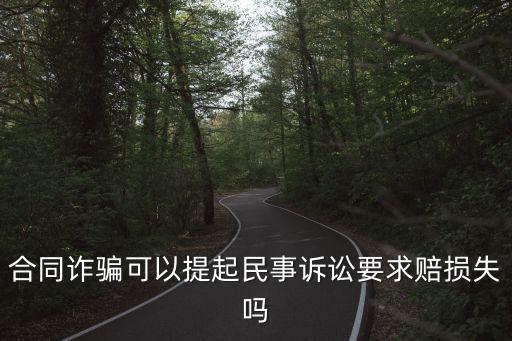 合同詐騙可以提起民事訴訟要求賠損失嗎