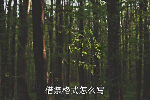 借條格式怎么寫