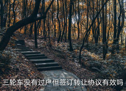 電動車轉(zhuǎn)讓協(xié)議有法律效力嗎，買二手電動摩的 買賣雙方簽的合同有法律較果嗎
