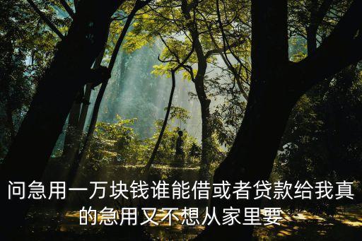 問急用一萬塊錢誰能借或者貸款給我真的急用又不想從家里要