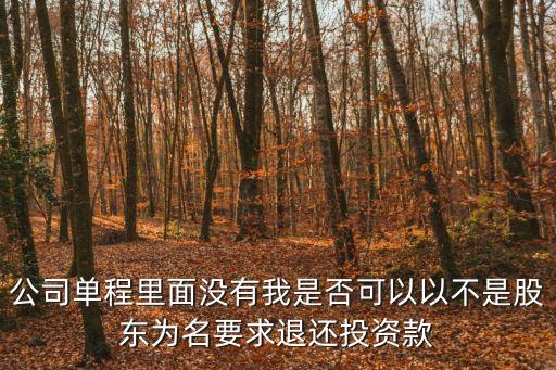 公司單程里面沒有我是否可以以不是股東為名要求退還投資款