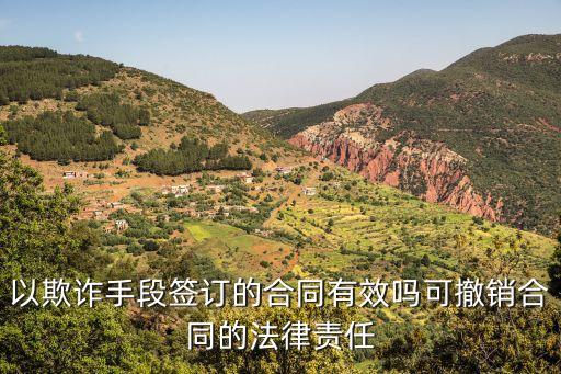 因欺詐而訂立的合同可撤銷嗎，以欺詐手段簽訂的合同有效嗎可撤銷合同的法律責(zé)任