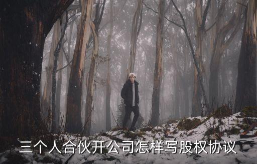 三個(gè)人合伙開(kāi)公司怎樣寫股權(quán)協(xié)議