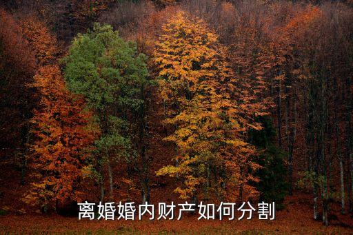 離婚婚內(nèi)財產(chǎn)如何分割