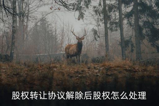 股權(quán)轉(zhuǎn)讓協(xié)議解除后股權(quán)怎么處理