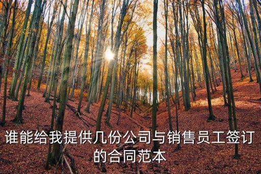 誰(shuí)能給我提供幾份公司與銷(xiāo)售員工簽訂的合同范本