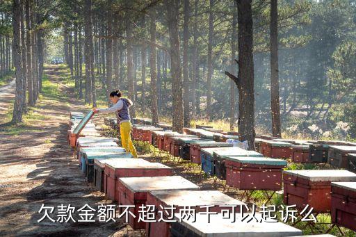 欠款金額不超過兩千可以起訴么