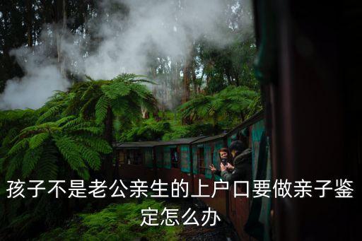 孩子不是老公親生的上戶口要做親子鑒定怎么辦