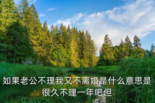 如果老公不理我又不離婚是什么意思是很久不理一年吧但