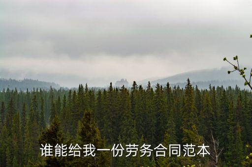誰能給我一份勞務(wù)合同范本