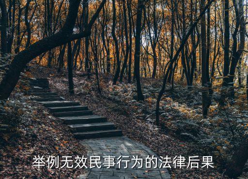 民事行為無效的法律后果，舉例無效民事行為的法律后果