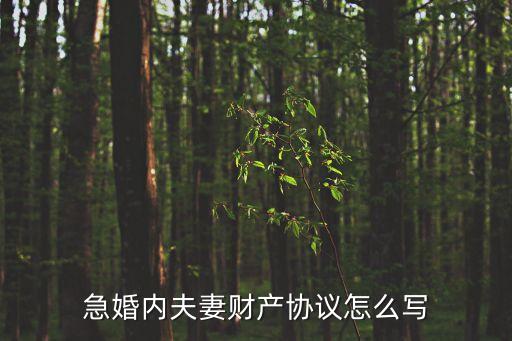 急婚內(nèi)夫妻財(cái)產(chǎn)協(xié)議怎么寫