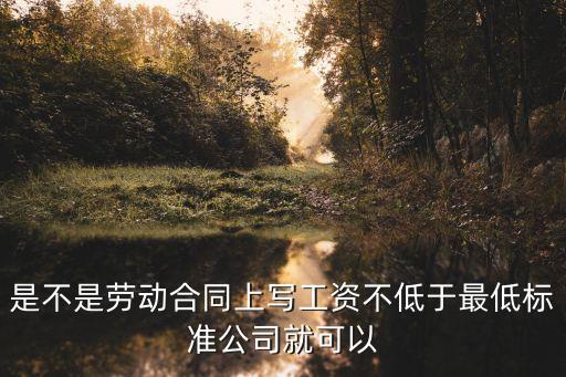合同為什么寫最低標準，是不是勞動合同上寫工資不低于最低標準公司就可以