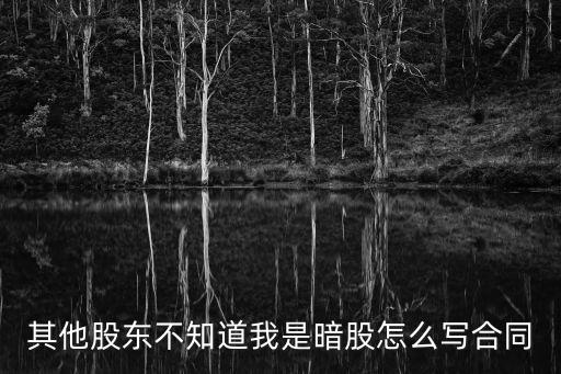 其他股東不知道我是暗股怎么寫合同