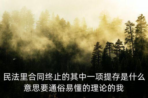 民法典 合同終止，民法中解除消滅終止等詞的使用規(guī)則