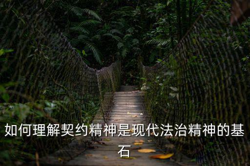 契約精神和法律意識(shí)，什么是公法和私法上的契約精神